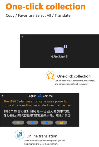 Offline Scanning Translation Dictionary Pen